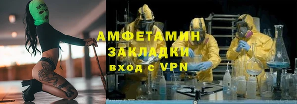 молекула духа Богородск