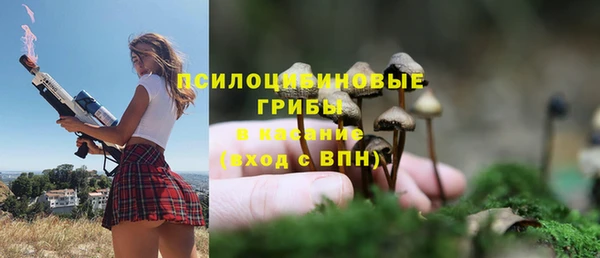 МДМА Богданович