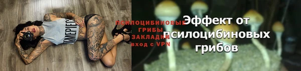 МДМА Богданович