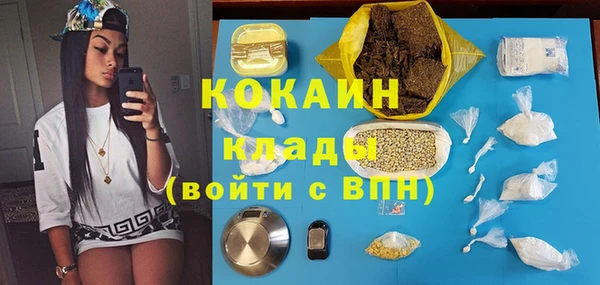 молекула духа Богородск