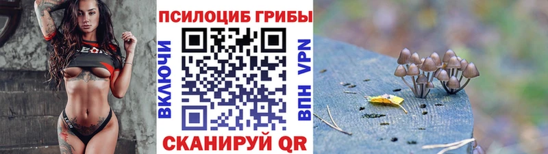 Псилоцибиновые грибы Magic Shrooms  Наро-Фоминск 